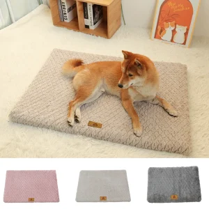 3D Foam Dog Bed